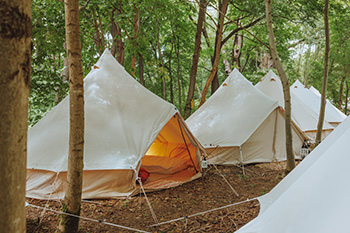 4-People Tent