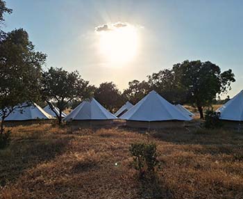 6-People Tent